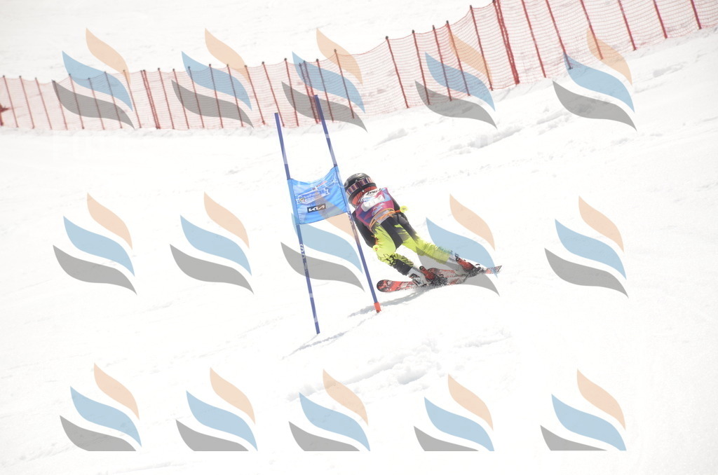 _ELE9184 | holidayphoto