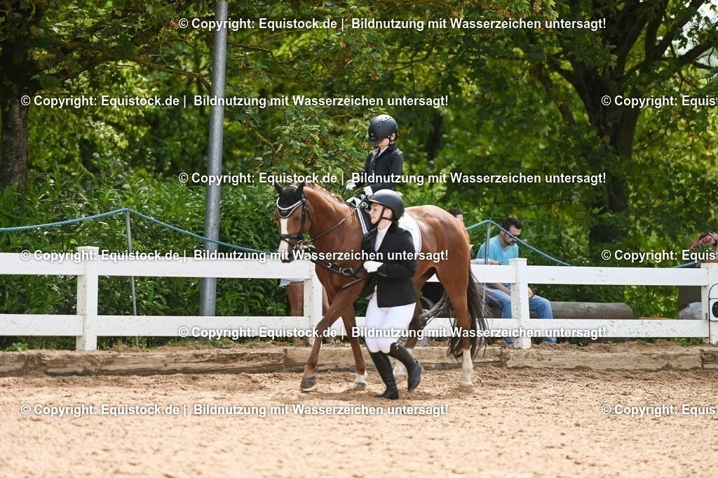 20230716_11_Führzügel-WB_0186 | equistock