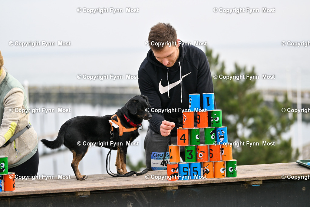 DSC_3885 | Hallo und herzlich Willkommen auf meiner Shop-Seite Fynn Most.

Ich wünsche Dir viel Spaß beim stöbern durch die Bilder, wenn Du Fragen hast oder Bilder vermisst, kannst du mir gerne eine Nachricht schreiben. - Realisiert mit Pictrs.com