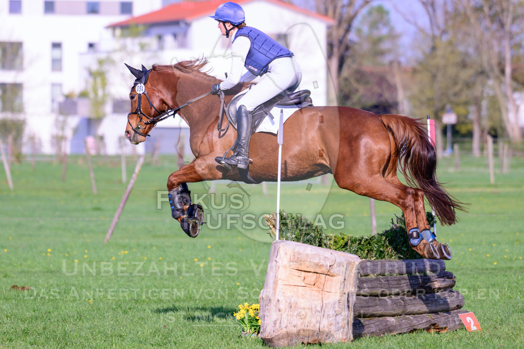 18042026-Gernlinden-02-0283 | Fokus Hufschlag Fotografie - Realisiert mit Pictrs.com