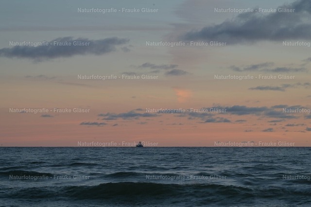 Morgenlicht Göhren (3) | Naturfotografie Frauke Gläser - Realisiert mit Pictrs.com