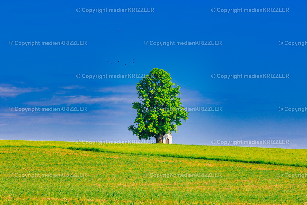 _J3A7829 | medienkrizzler - Realisiert mit Pictrs.com