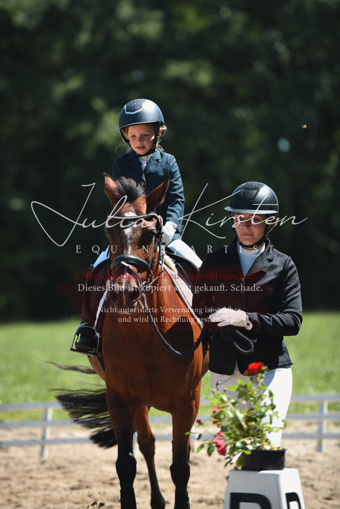 DSC_2066 | Pferde- und Turnierfotografie in Westsachsen. Pferdeportraits, Auftragszeichnungen und intuitive Kunst.