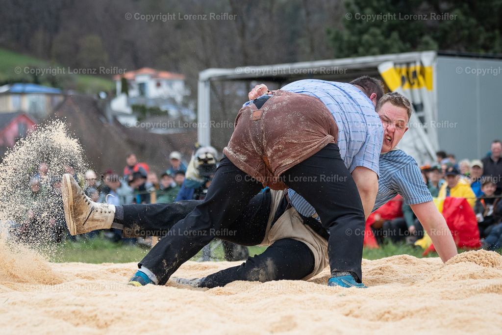 Schwingen -  Rheintal-Oberländer 2023 | Altstätten, 2.4.23, Schwingen - Rheintal-Oberländer.