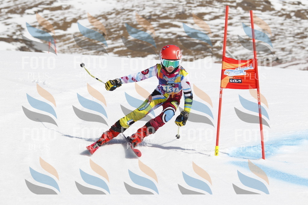 _U3G0995 | holidayphoto