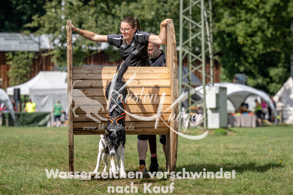 1136_ZZ90802 | kk-dogfotos