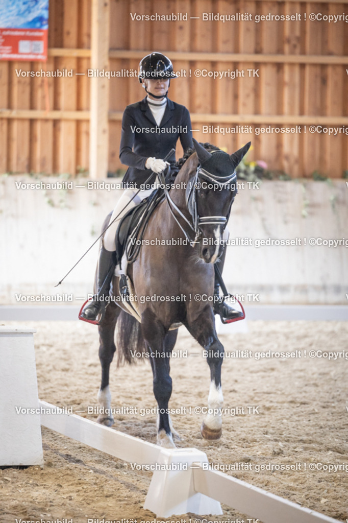 _D5A1785 | Emotionale Pferde- & People-Fotografie rund um Heidelberg, Leimen & Umgebung. Natürliche Fotos von Pferd, Mensch & Familie. Jetzt Termin sichern!