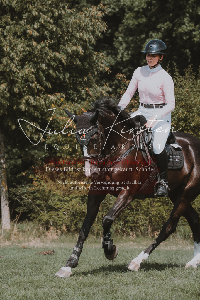DSC_0810 | Pferde- und Turnierfotografie in Westsachsen. Pferdeportraits, Auftragszeichnungen und intuitive Kunst.