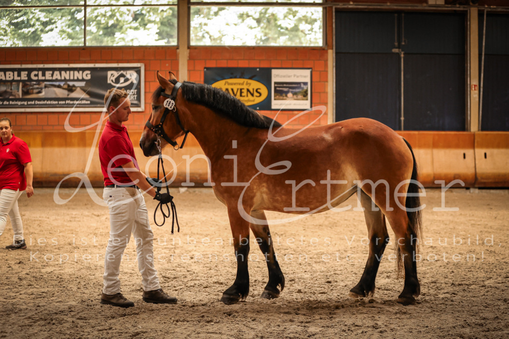 SaFL00089 | Leoni Ertmer Photography - Realisiert mit Pictrs.com