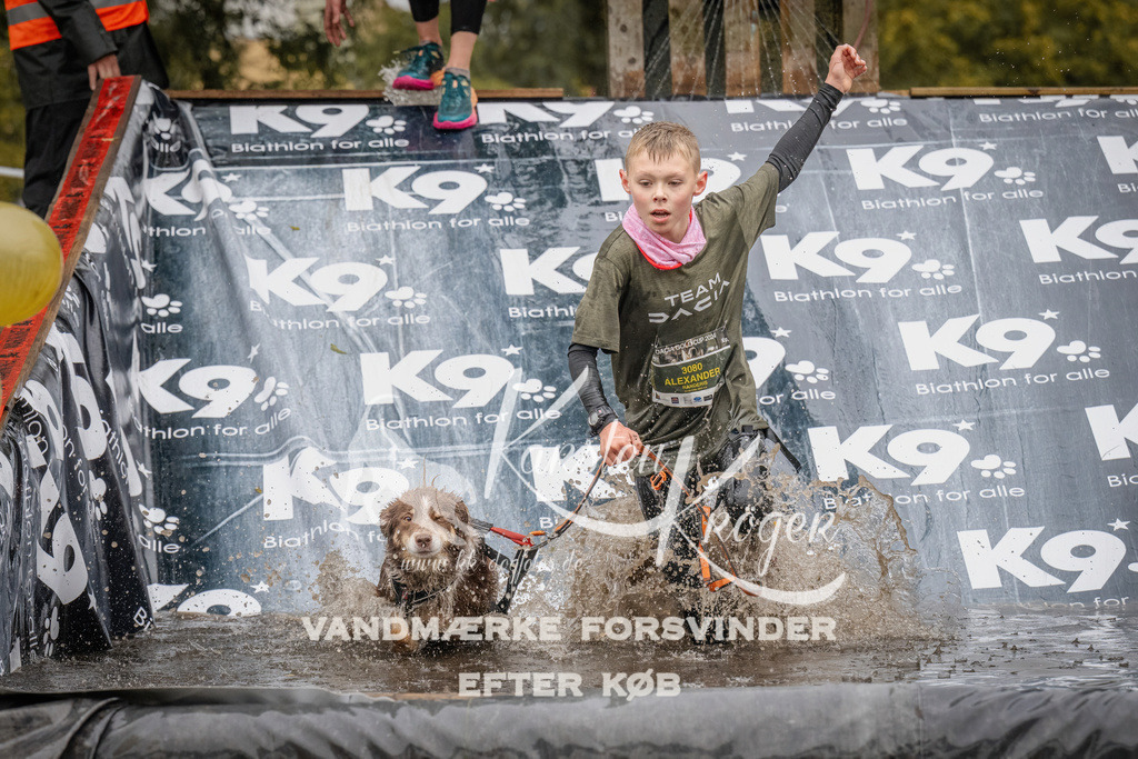 0933_ZZ90377 | kk-dogfotos