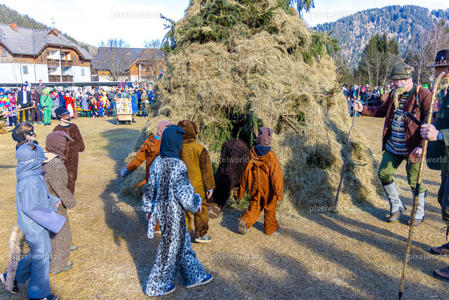 Bärentreiben in Steuerberg | Bildershop von pixelworld.at - Realisiert mit Pictrs.com