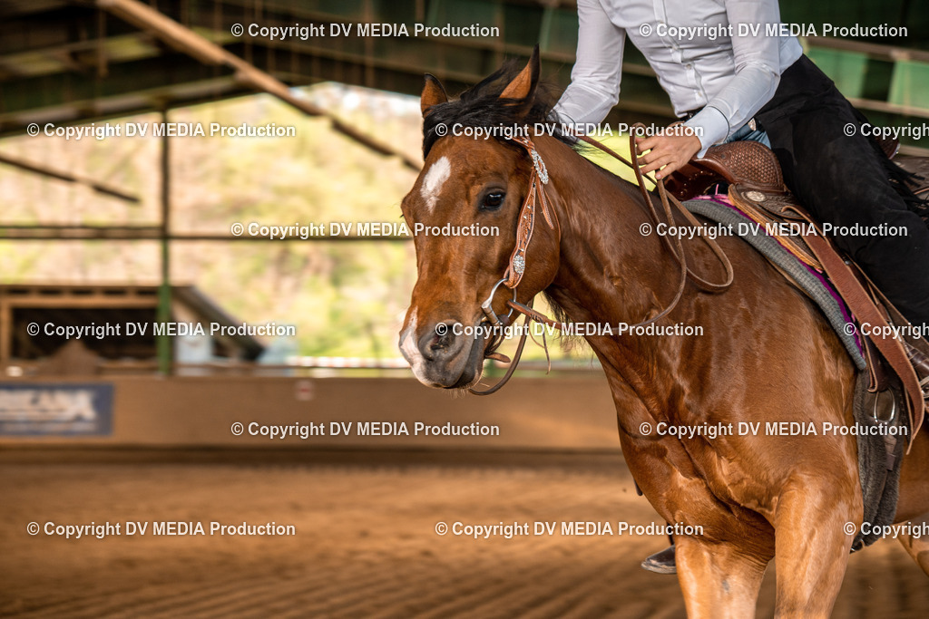 Balingen Tag 5-1034 | dv-media-shop - Realisiert mit Pictrs.com