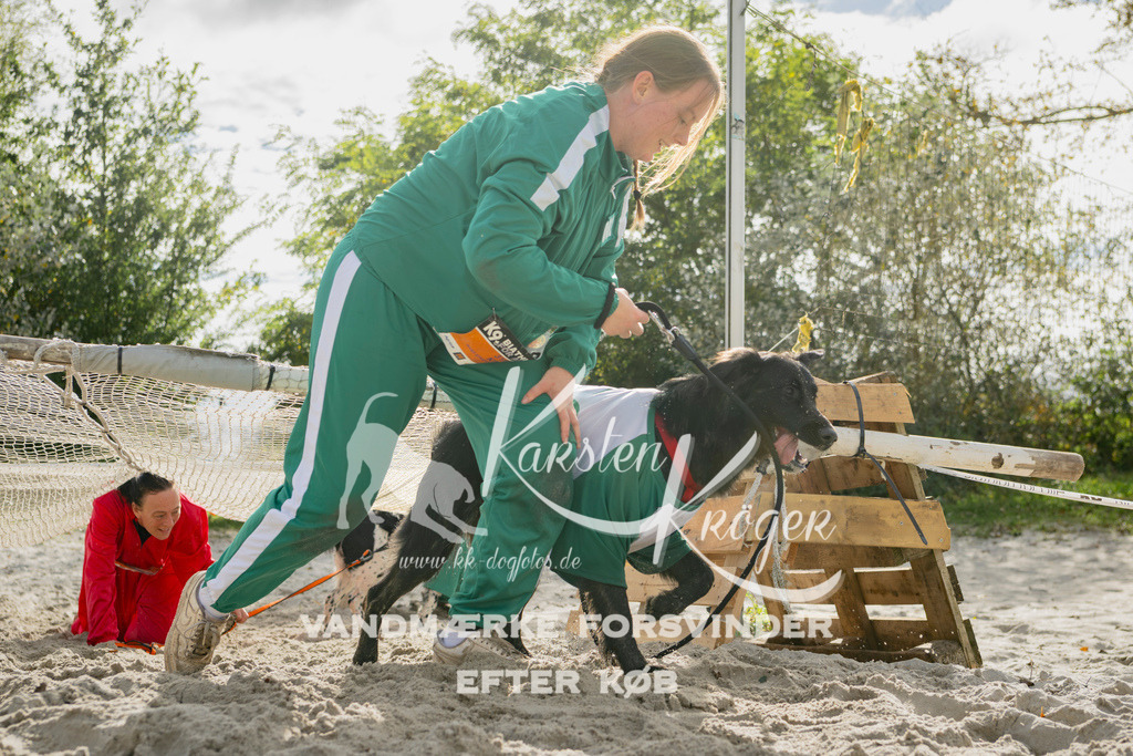 1307_ZZ95281 | kk-dogfotos