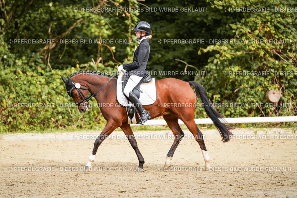 DSC09571 | Pferdegrafie