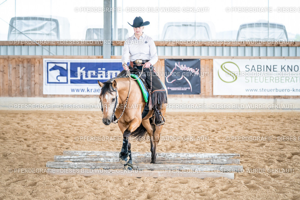 DSC07559 | Pferdegrafie