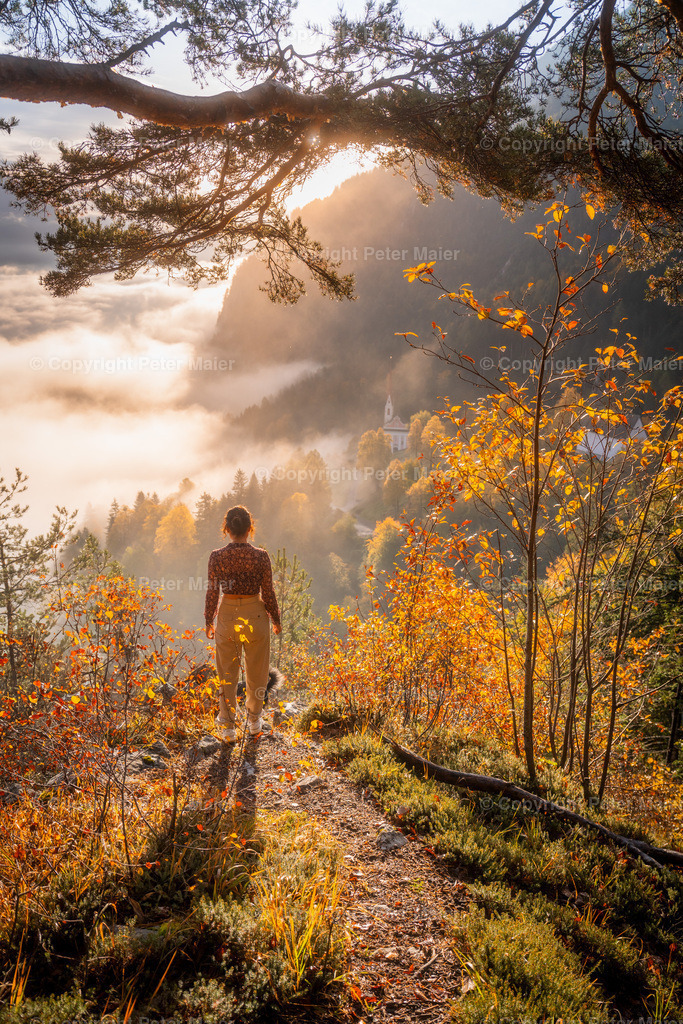 Lavant_Herbst_2023-28-2 | piet_flosse