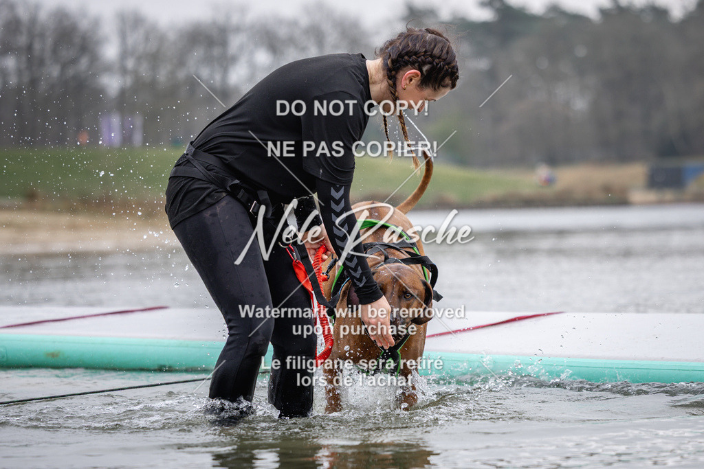 nelerasche_Hulsbeek_Sa1130-1230_333 | nelerasche