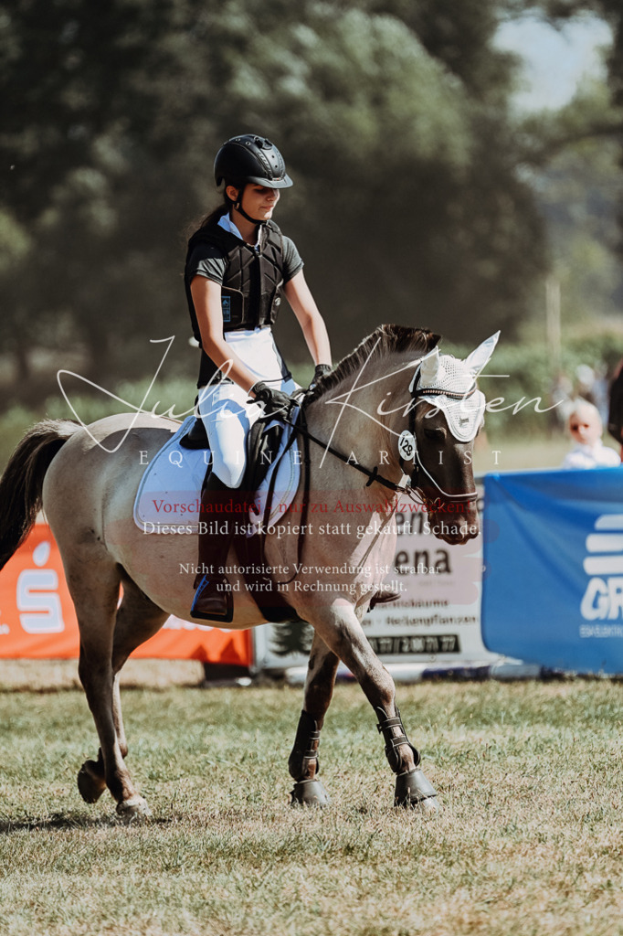 DSC_9730 | Pferde- und Turnierfotografie in Westsachsen. Pferdeportraits, Auftragszeichnungen und intuitive Kunst.