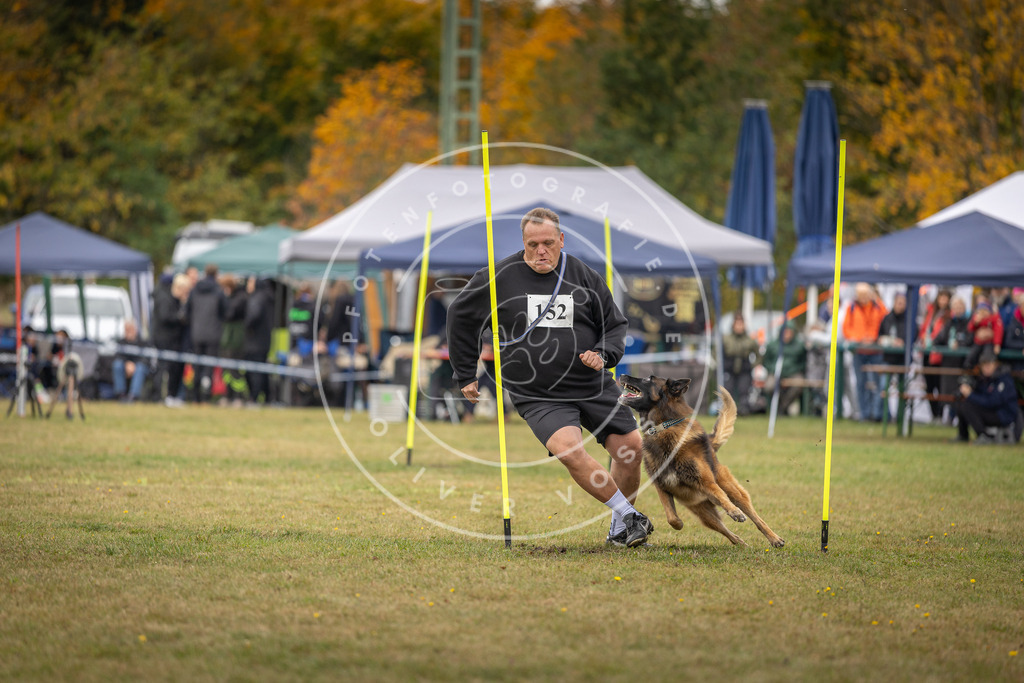 Pfotenfotografie_DV3A6449 | Hundefotografie, Tierfotograf, Pfotenfotografie, Fotoshooting Hund, Hunde Portrait, Hundesport, Hundeportraits, Heideshooting, Hunde, Sportfotograf, Hundefotograf, Turnierhundsport, THS,  - Realisiert mit Pictrs.com