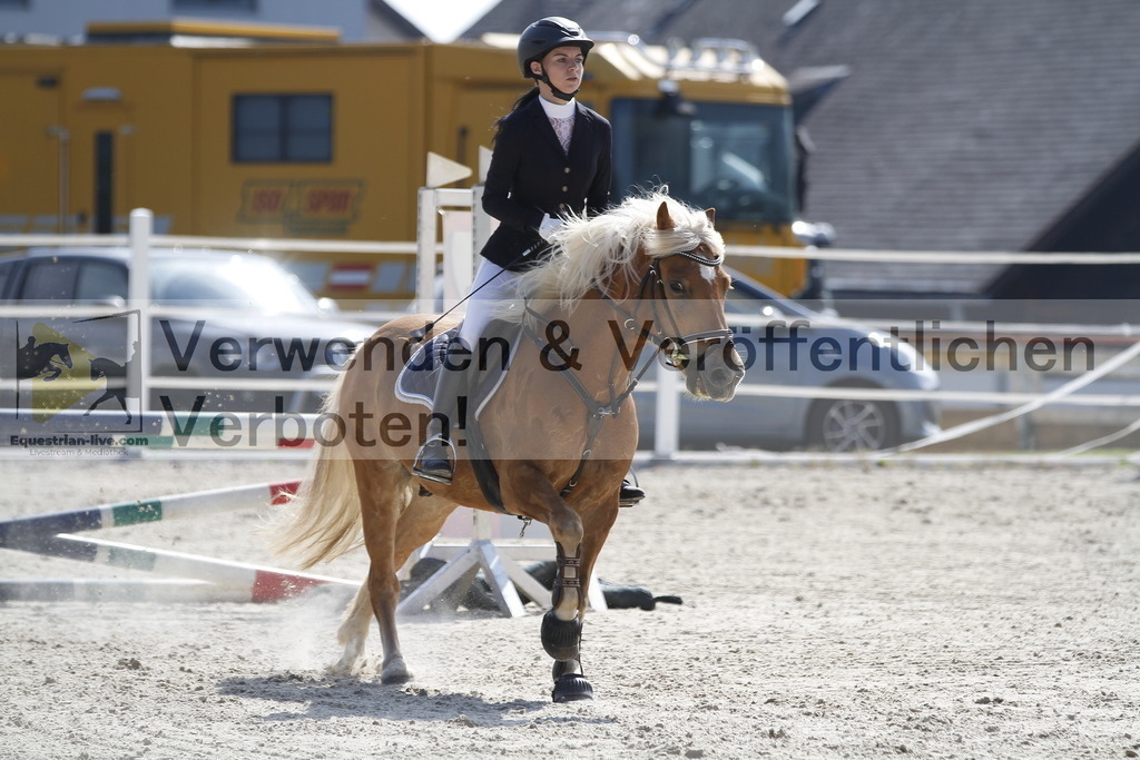 _MG_3501 | equestrian-live-com