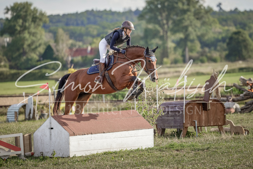 20250906-_3LI7541 | Tierfotografie Pferde, Hunde, Katzen, Haustiere.
Turnierfotografie Reitturniere, Reiten, Springreiten, Dressur in Hanau, dem Main-Kinzig-Kreis und dem Rhein-Main- Gebiet um Frankfurt