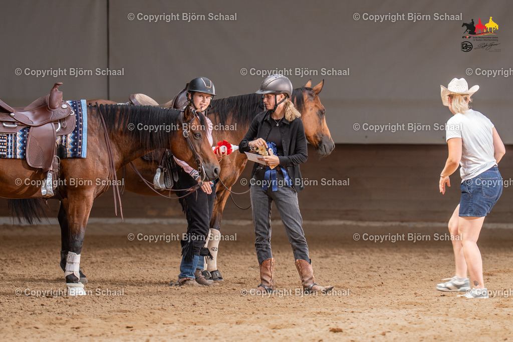 LMS06223 | BS-foto
