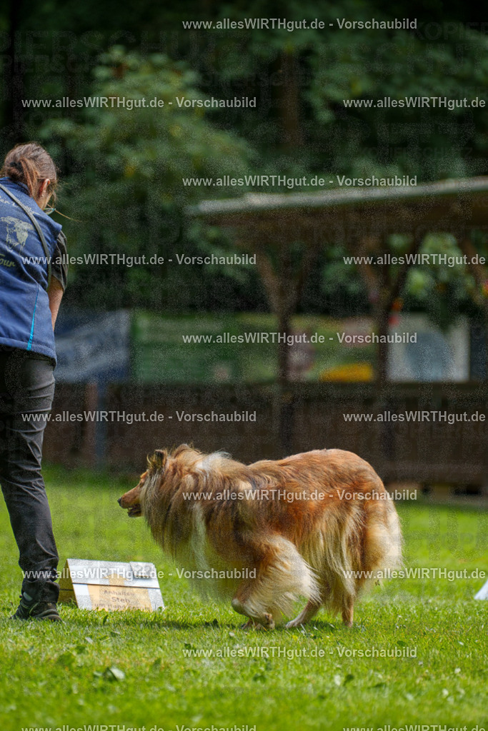 @allesWIRTHgut_Tierfotografie - www.allesWIRTHgut.de - 095714-7R507887 | Professionelle Tierfotografie in Mönchengladbach von Daniel Wirth (allesWIRTHgut). Liebevolle & natürliche Bilder von Hunden & Katzen für unvergessliche Erinnerungen.