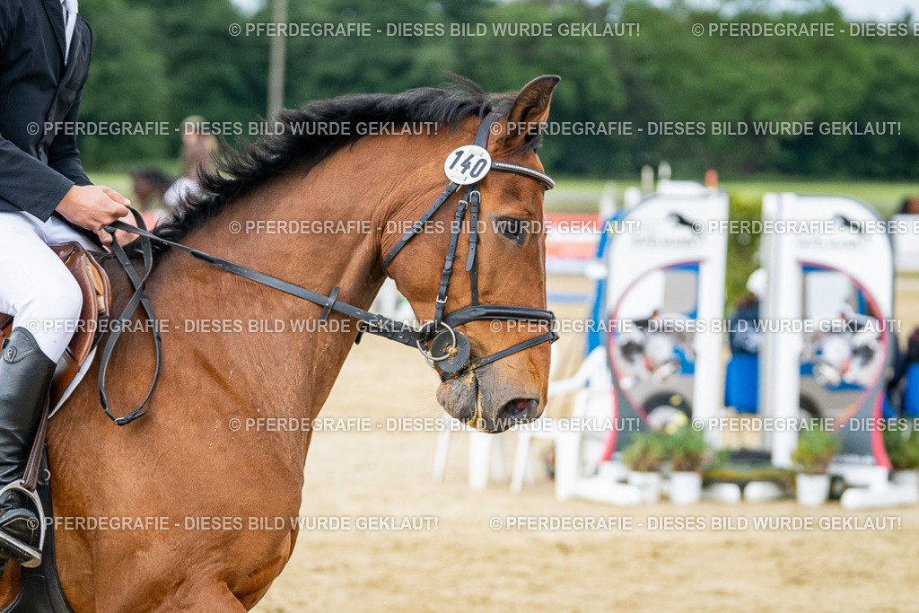 DSC06617 | Pferdegrafie