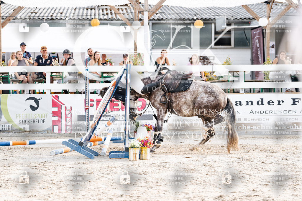 CK907042 | Turnierfotografie Pferdefotografie Trier Rheinland-Pfalz Pferdesport Reitsport Tierfotografie Sportfotografie Pferdevideo Pferdevideografie Equestrianvideography equestrianphotography  - Realisiert mit Pictrs.com