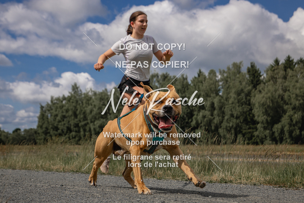 nelerasche_BuHu2026_SaCC1100-1200_20 | nelerasche