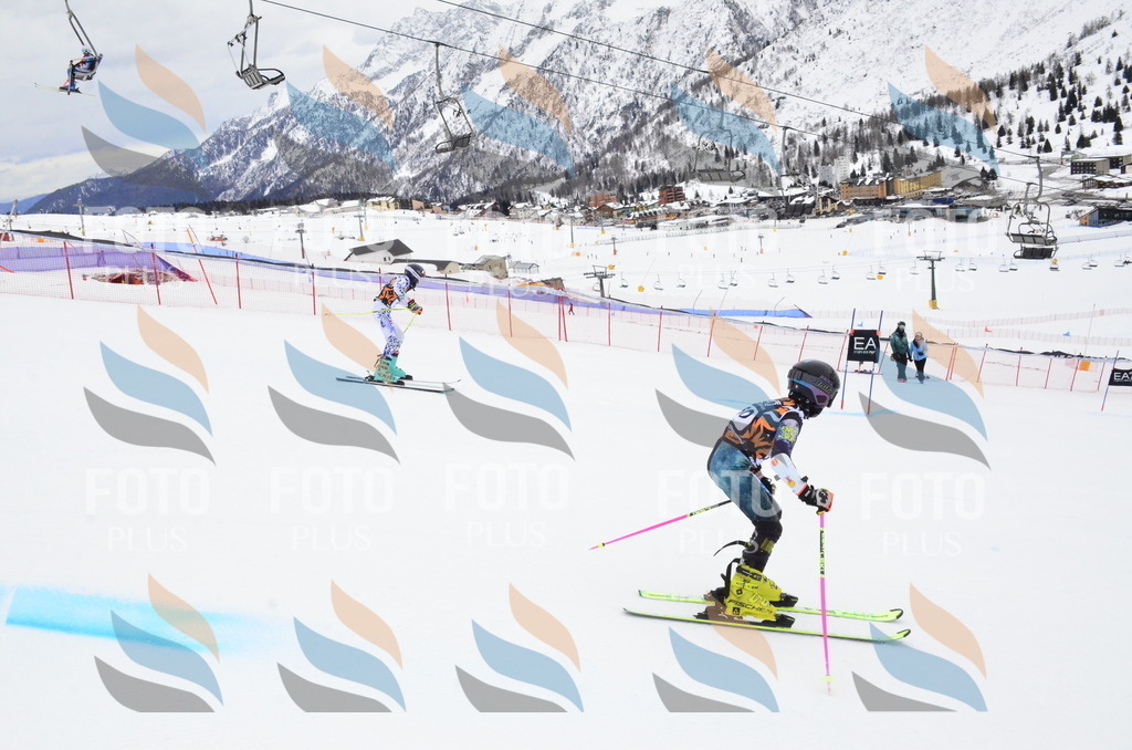 _ELE4071 | holidayphoto