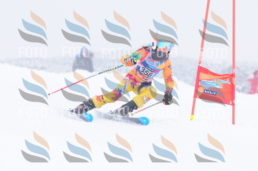 C3830 | holidayphoto