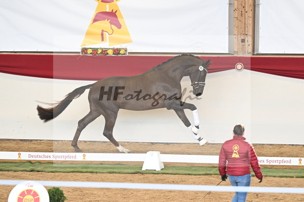 Kat.-Nr. 87 v. Vitalis_Kühnle_3261290 | hf-fotografie - Realizzato con Pictrs.com