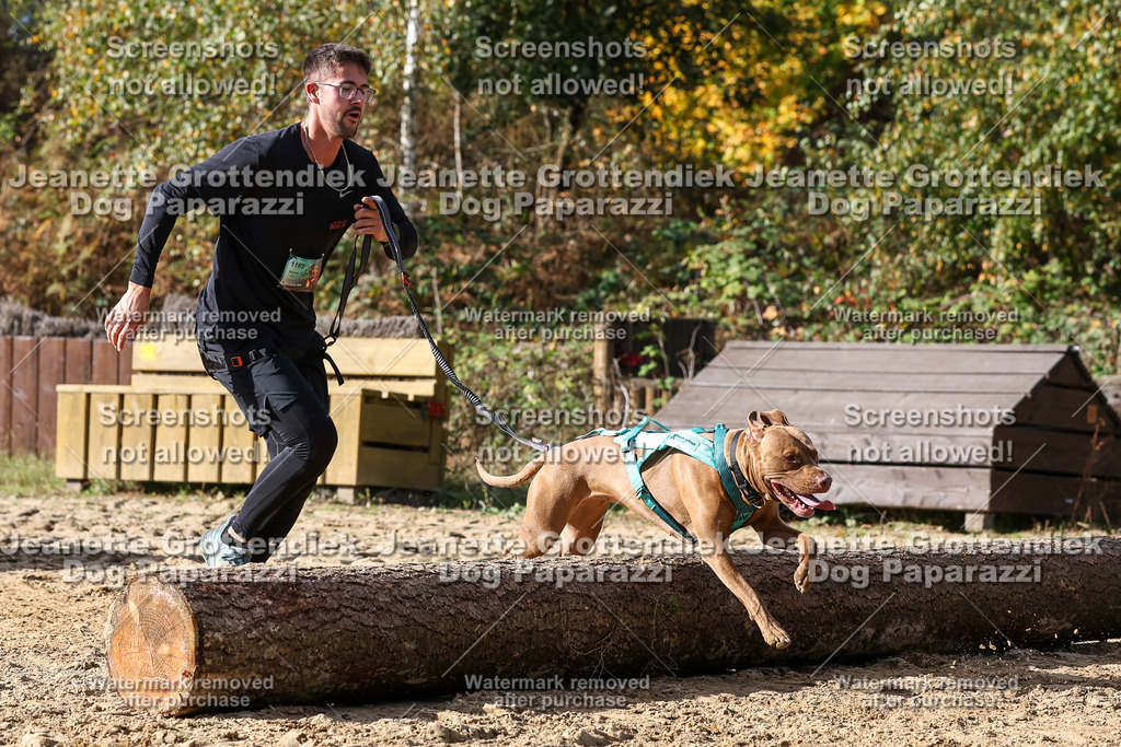 Dog Paparazzi - Strongdog 10-25-5249 | Dog Paparazzi Jeanette Grottendiek Fotografie & Videografie - Realisiert mit Pictrs.com