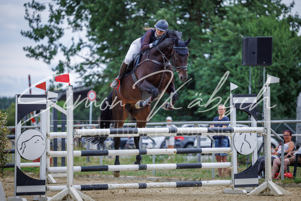 20260705-_3LI6464 | Tierfotografie Pferde, Hunde, Katzen, Haustiere.
Turnierfotografie Reitturniere, Reiten, Springreiten, Dressur in Hanau, dem Main-Kinzig-Kreis und dem Rhein-Main- Gebiet um Frankfurt
