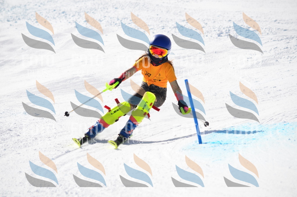 C8421 | holidayphoto