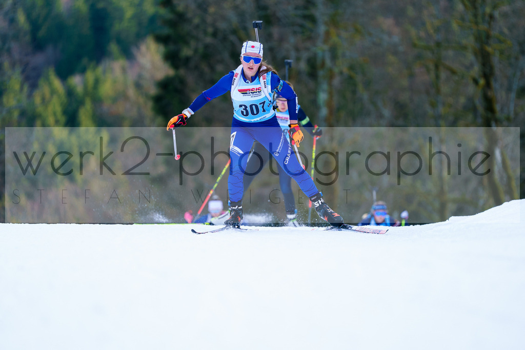 FESA Alpencup / DP Notschrei | Deutschland Pokal Finale im Schwarzwald NORDIC-CENTER Notschrei am 7. - 8. Februar 2026