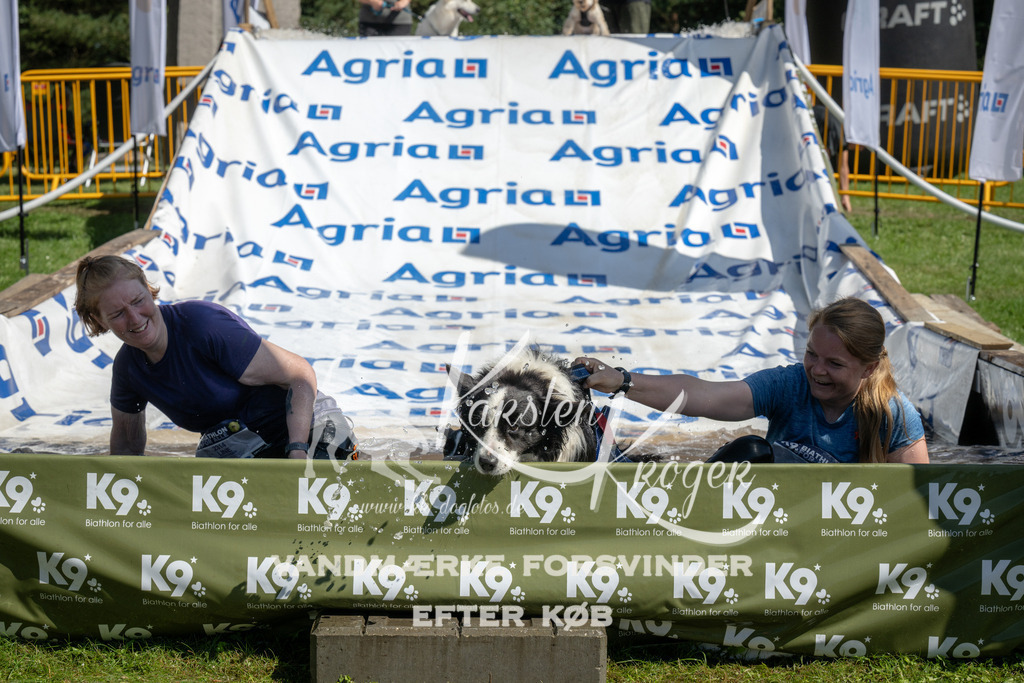 1213_ZZ95303 | kk-dogfotos