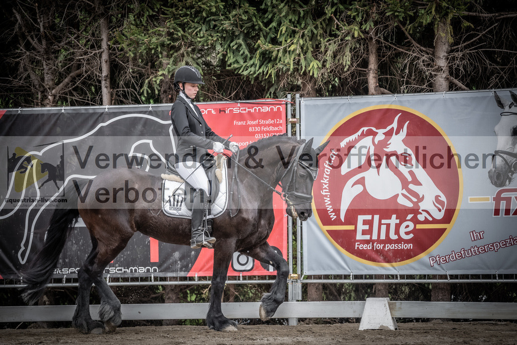 DSC_3125 | equestrian-live-com