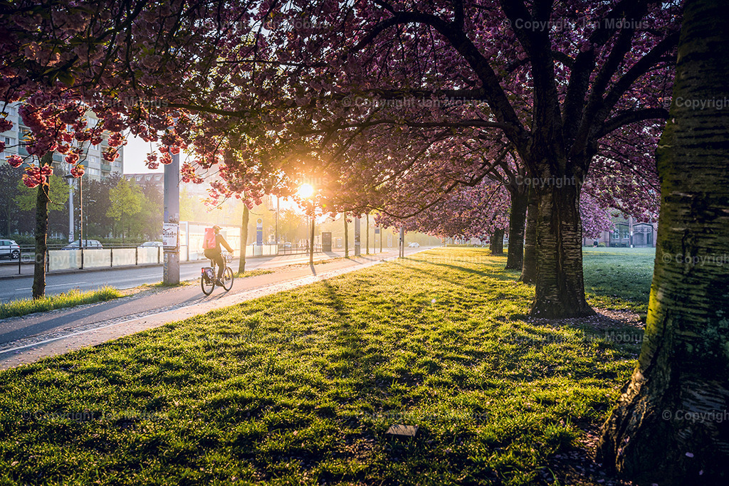 _DSC1696-2 | Leipzig Wandbilder Drucke Prints Leinwand Stadtmotive Leipzig Fotosdruck Kunstdrucke Bilder Leipzig Stadtansichten Acrylglasbilder Leipzig Wanddeko Fine Art Prints Wandbilder Büro Leipzig Bilder Praxis Zuhause Bilderdruck Poster Posterlounge Kunstdrucke - Realisiert mit Pictrs.com