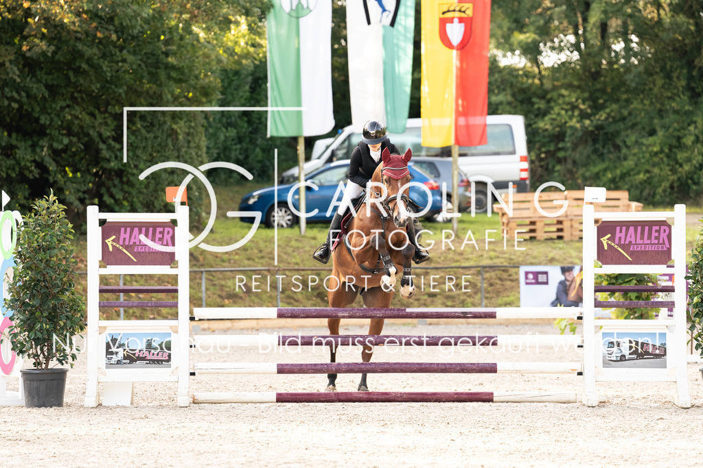 DSC01639 | Carolin Gieschke