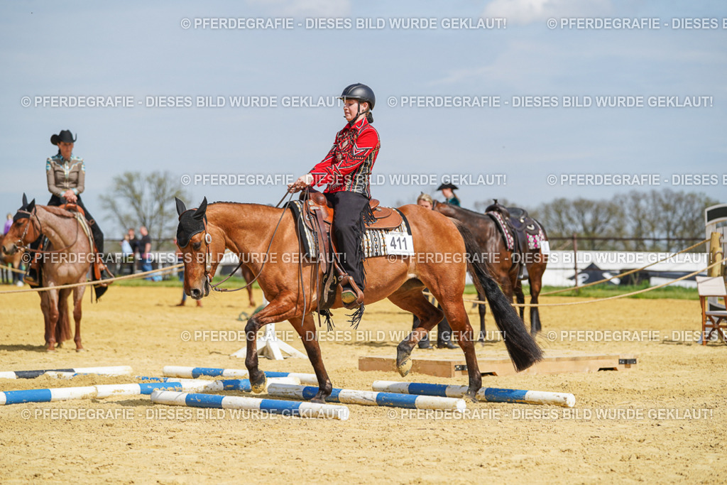 DSC04548 | Pferdegrafie