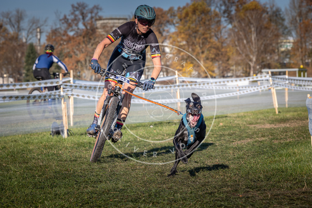 CaniXpix_0L8A4876 | Hundefotografie, Tierfotograf, Pfotenfotografie, Fotoshooting Hund, Hunde Portrait, Hundesport, Hundeportraits, Heideshooting, Hunde, Sportfotograf, Hundefotograf, Turnierhundsport, THS,  - Realisiert mit Pictrs.com