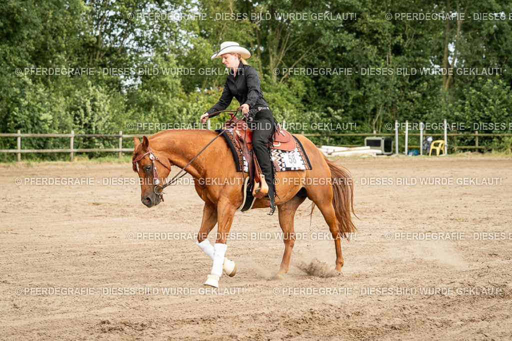 DSC05239 | Pferdegrafie