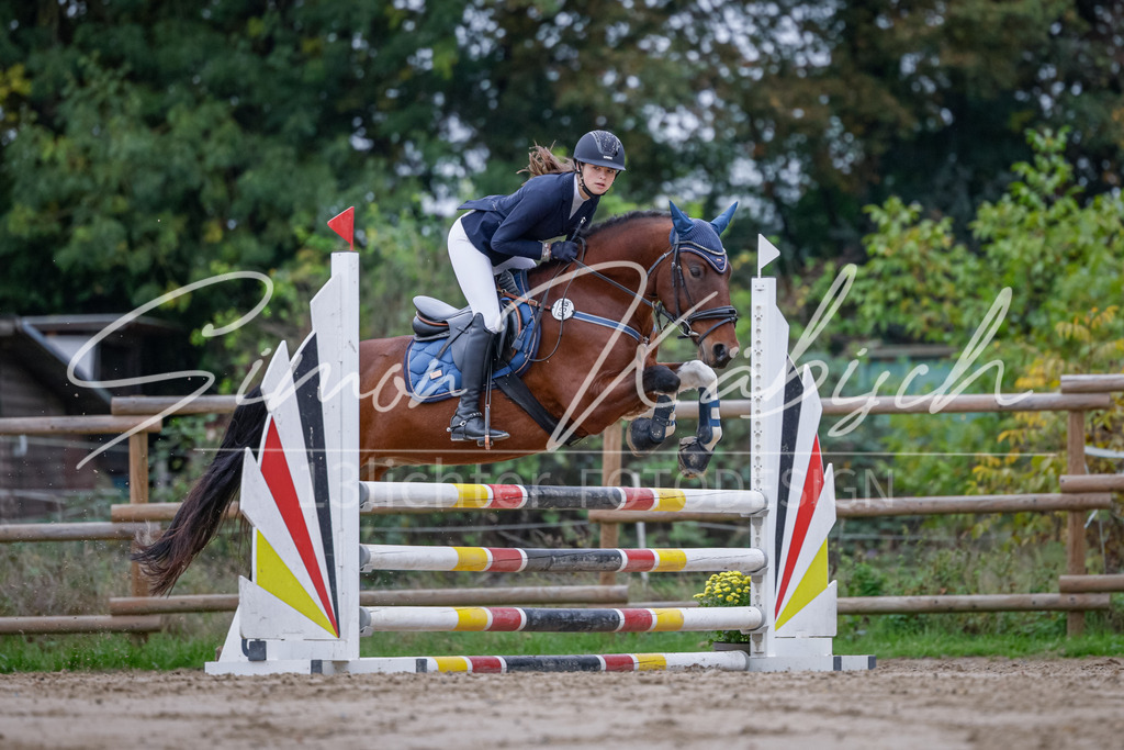 20251012-_3LI3455 | Tierfotografie Pferde, Hunde, Katzen, Haustiere.
Turnierfotografie Reitturniere, Reiten, Springreiten, Dressur in Hanau, dem Main-Kinzig-Kreis und dem Rhein-Main- Gebiet um Frankfurt