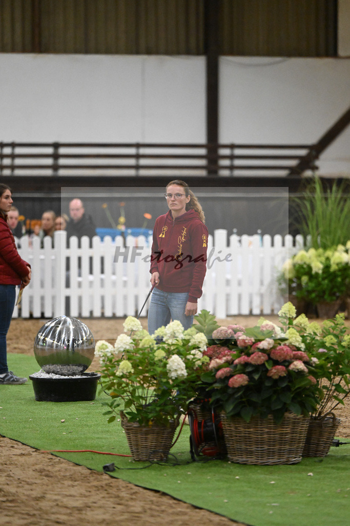 Fohlenauktion Next Chance_49220584 | hf-fotografie - Realisiert mit Pictrs.com