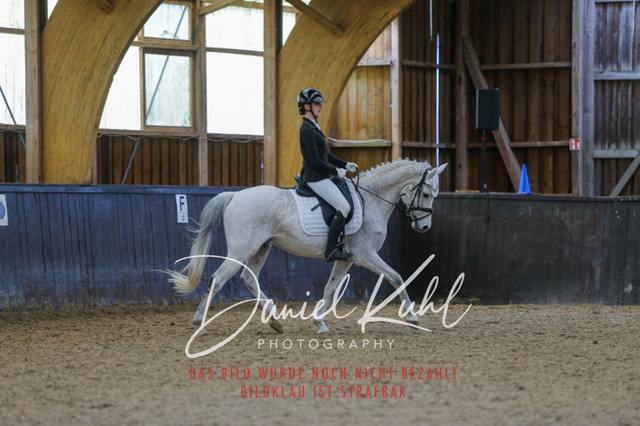 IMG_0504 | Turniersportfotografie; Pferdefotografie; Dressurfotografie