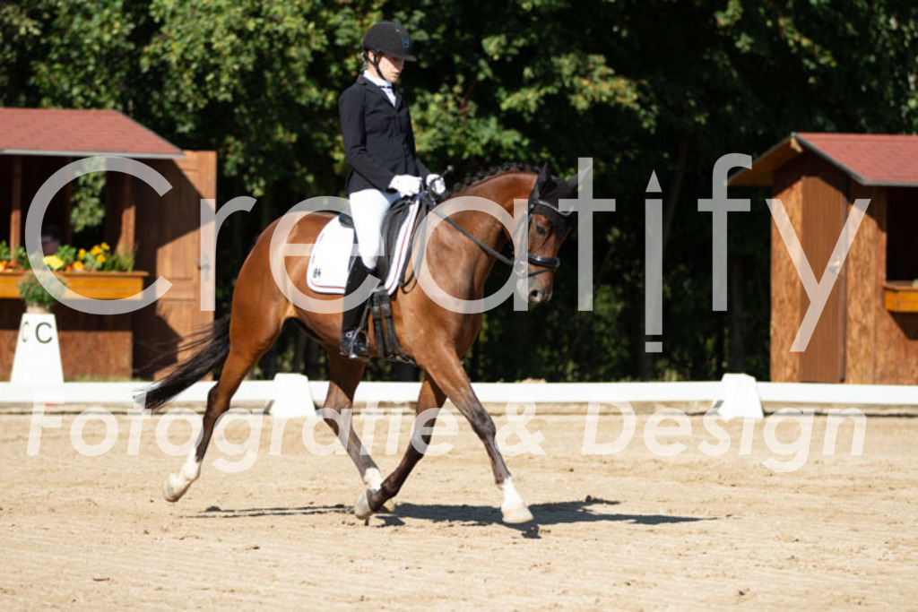 IMG_5054 | Creatify Fotografie