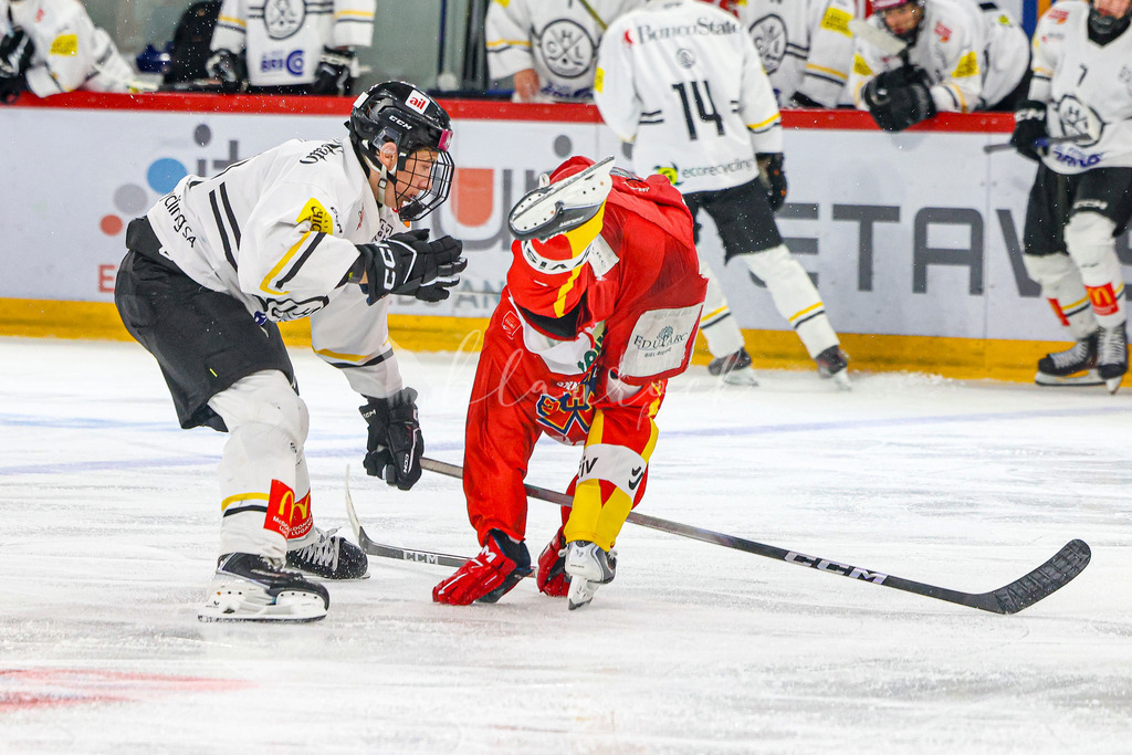 701A3092 | Sportbilder, Sportfotograf, Hochzeits- und Eventfotografin, Flugshows, Portraits und Tiershooting, Aviation, Downhill, Nationalleague, Swissleague, International