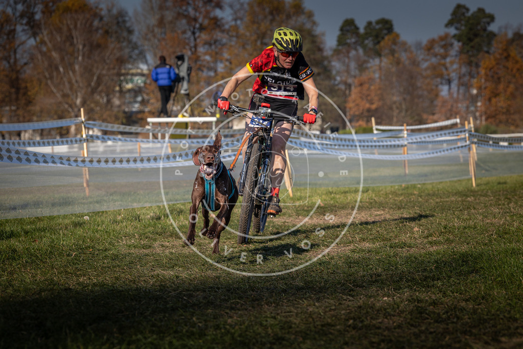 CaniXpix_0L8A6598 | Hundefotografie, Tierfotograf, Pfotenfotografie, Fotoshooting Hund, Hunde Portrait, Hundesport, Hundeportraits, Heideshooting, Hunde, Sportfotograf, Hundefotograf, Turnierhundsport, THS,  - Realisiert mit Pictrs.com